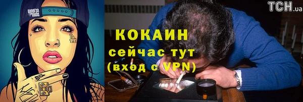 винт Протвино