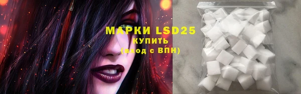 экстази Бикин