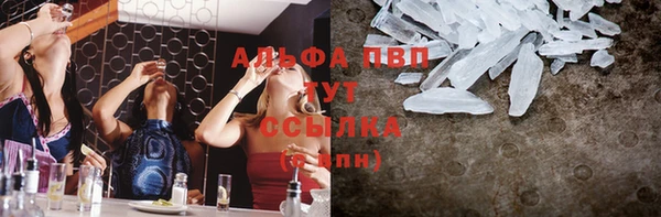 молекула духа Приозерск