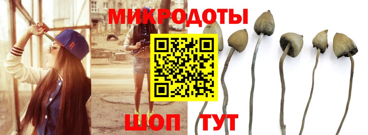 Псилоцибиновые грибы Psilocybine cubensis  Вход с VPN  Псилоцибиновые грибы Cubensis  Алейск 