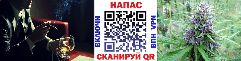 Конопля семена Алейск